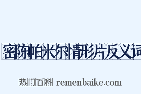 密陈帕米尔情形片反义词是什么意思的图片